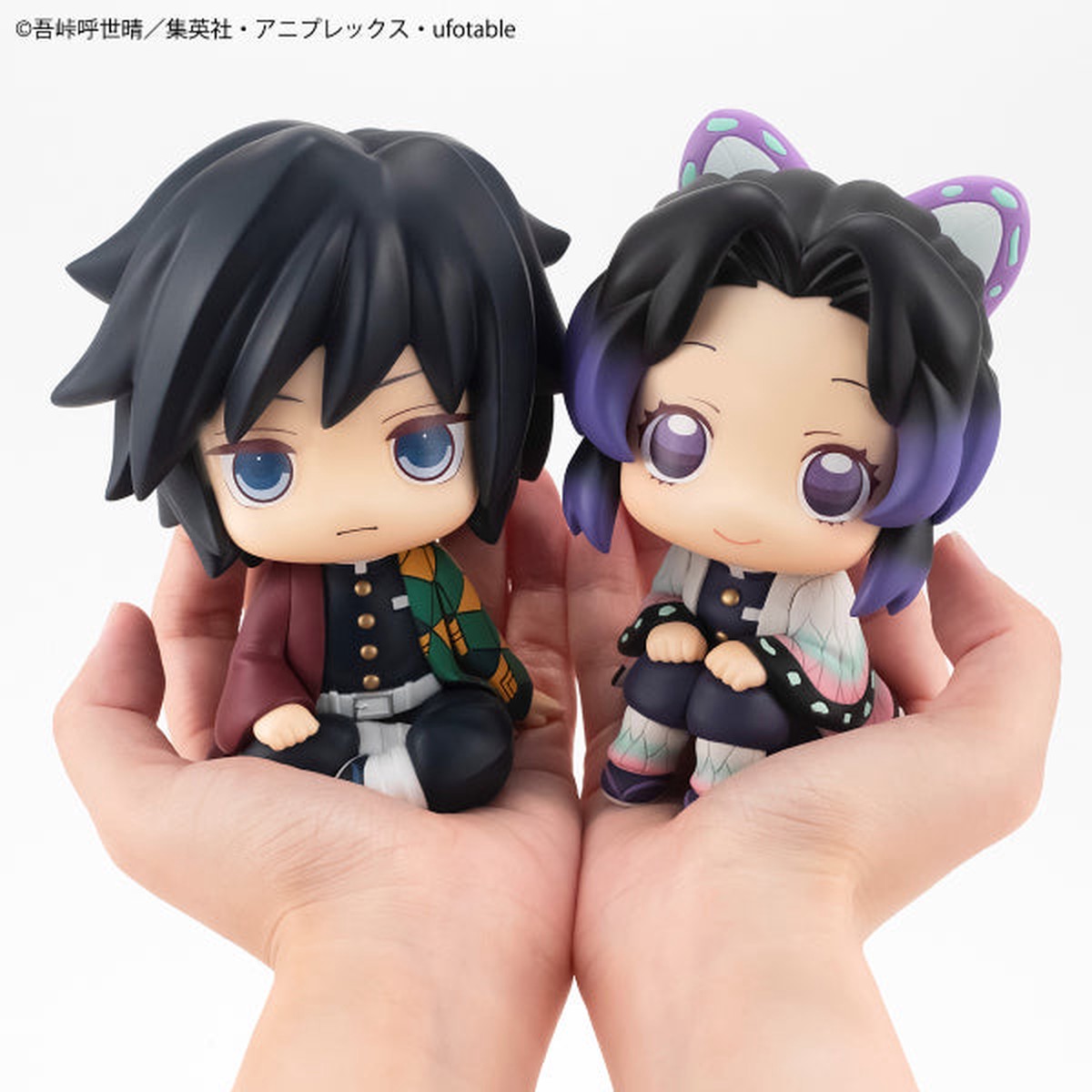 demon-slayer-kimetsu-no-yaiba-shinobu-kocho-giyu-tomioka-stare-at-you